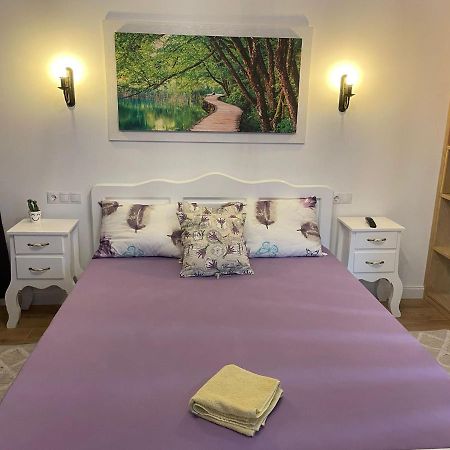 Apartament Gabriela 39 Baia Mare Exteriör bild