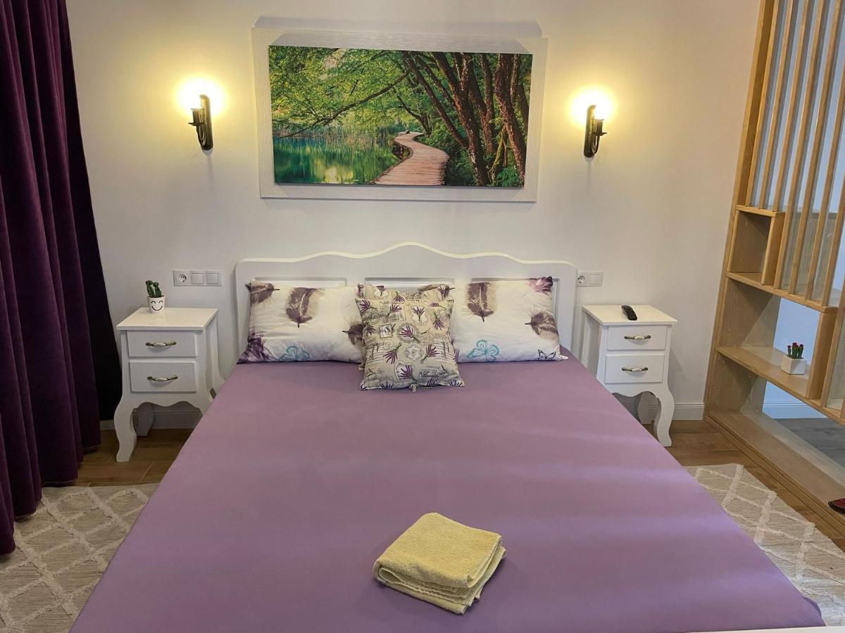 Apartament Gabriela 39 Baia Mare Exteriör bild