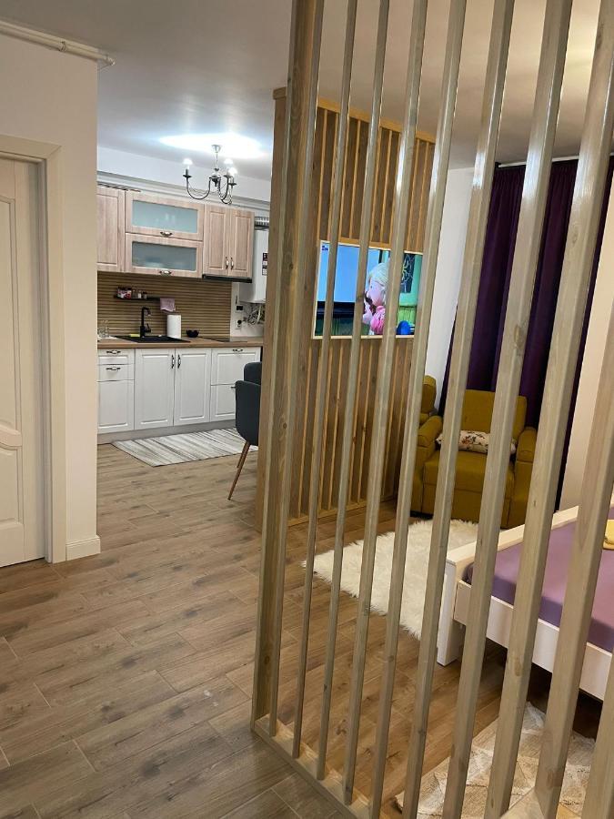 Apartament Gabriela 39 Baia Mare Exteriör bild