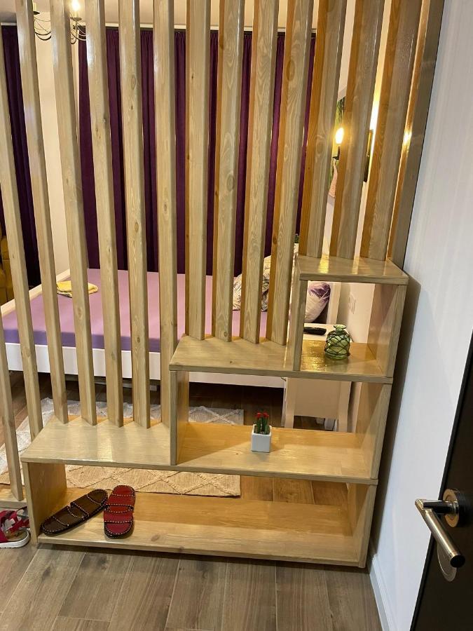 Apartament Gabriela 39 Baia Mare Exteriör bild