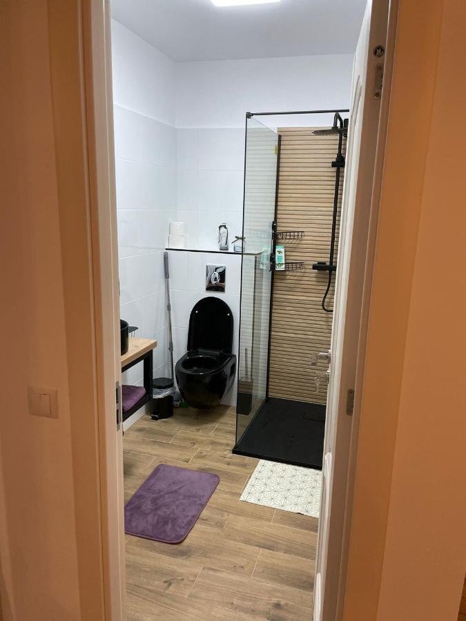 Apartament Gabriela 39 Baia Mare Exteriör bild