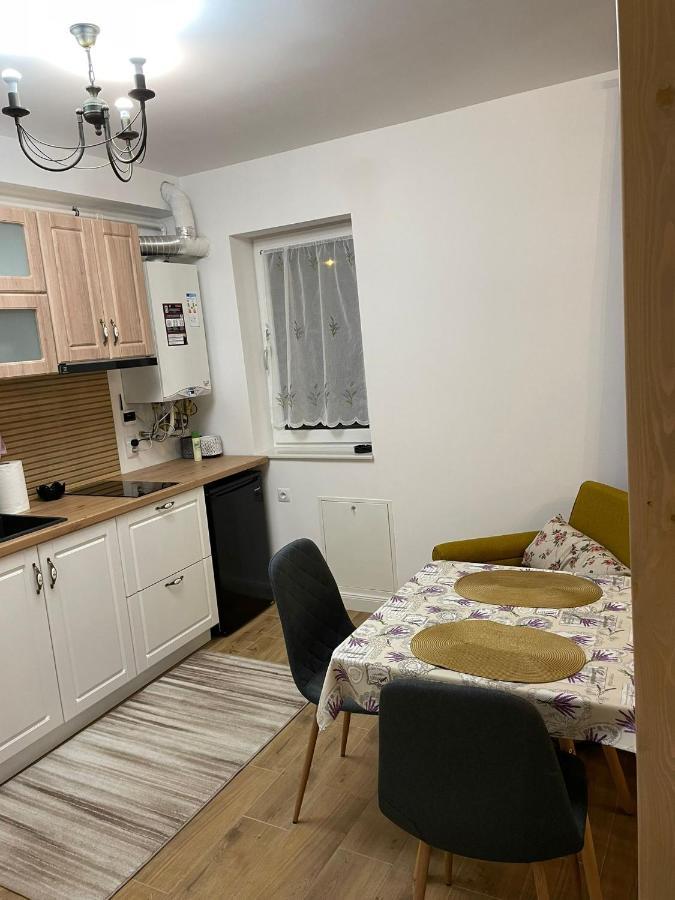Apartament Gabriela 39 Baia Mare Exteriör bild