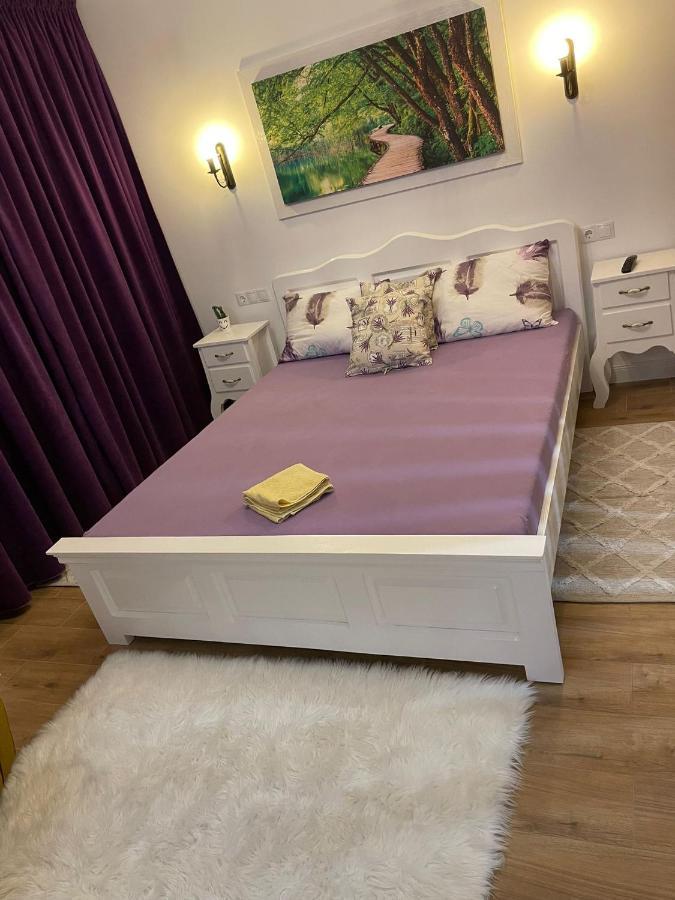 Apartament Gabriela 39 Baia Mare Exteriör bild
