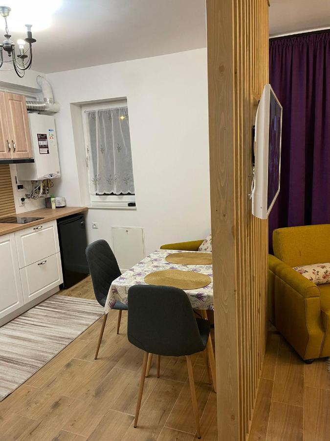 Apartament Gabriela 39 Baia Mare Exteriör bild