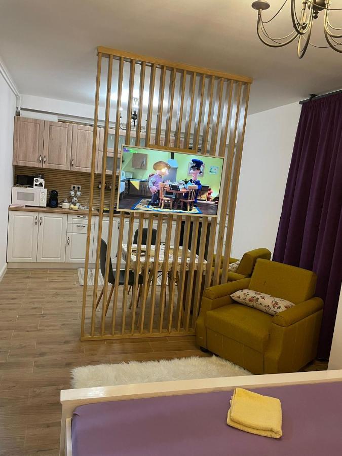 Apartament Gabriela 39 Baia Mare Exteriör bild