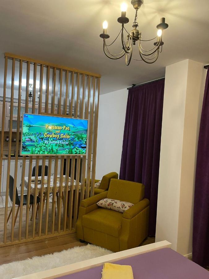 Apartament Gabriela 39 Baia Mare Exteriör bild
