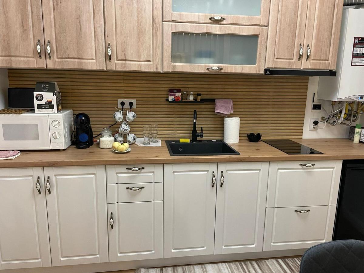 Apartament Gabriela 39 Baia Mare Exteriör bild