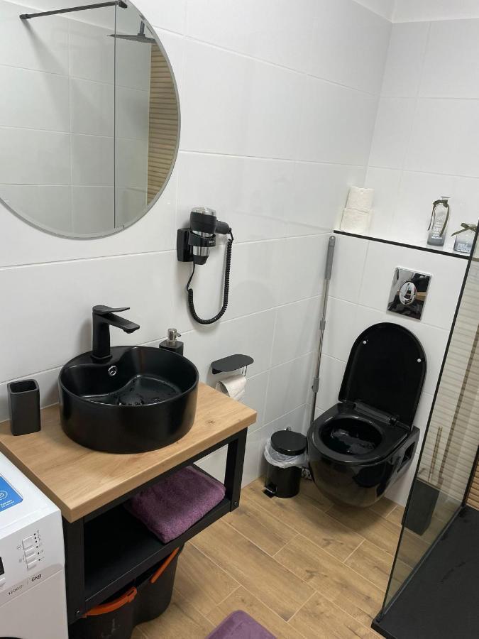 Apartament Gabriela 39 Baia Mare Exteriör bild