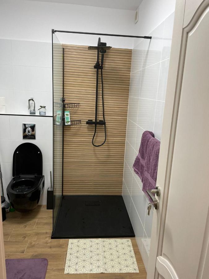 Apartament Gabriela 39 Baia Mare Exteriör bild